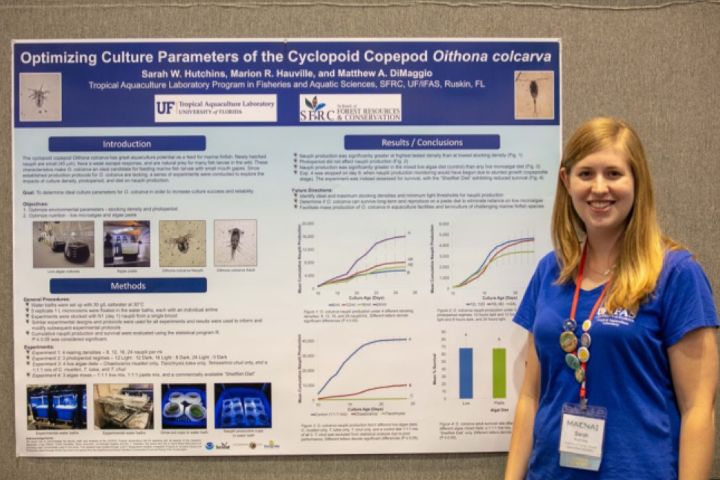 Large Format Printing in Delhi